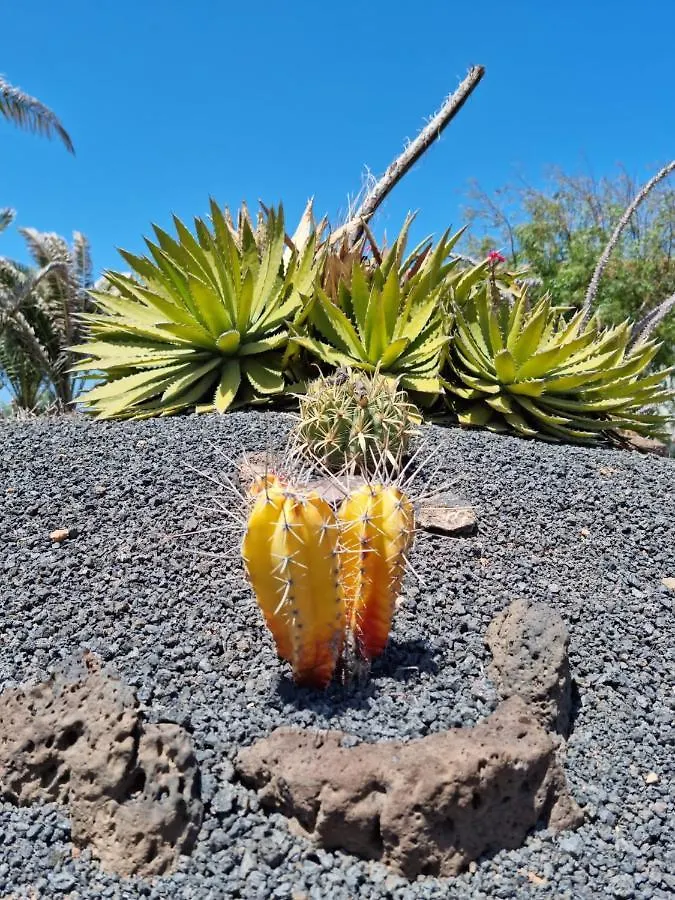 Casa Ina In El Roque, El Cotillo Roque